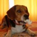 Tobby