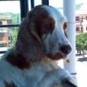 Lucrecia