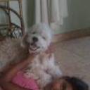 Cody