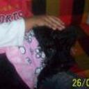 Titania