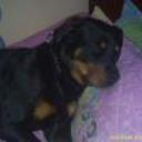 Hades