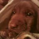 Lucas