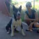 Tayson