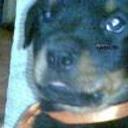 Tyson