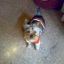 Bety