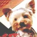 Otto