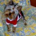 Bety
