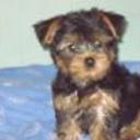 Facu