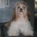 Molly