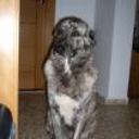 Ares