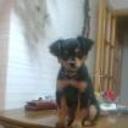 Boby