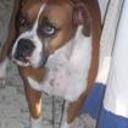 Chita
