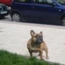 Neder
