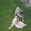Otto y sky