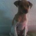 Caly