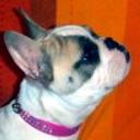 Loreta