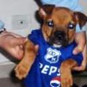Eslachito