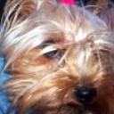 Lola