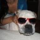 Rocco