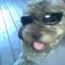 Clarky