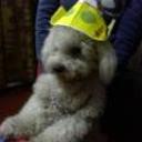 Shilo