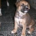 Axel