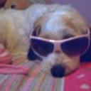 Blanqui