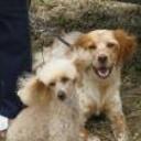 Kora y lusy