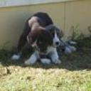 Lola y tayxon