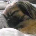 Dulce