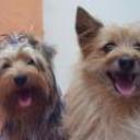 Tomas y juanita