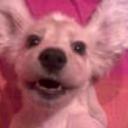 Snoopher