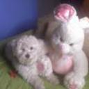Bengie