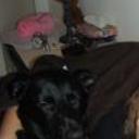 Sofi