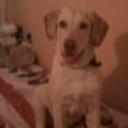 Nick