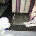 Nick y may