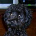 Boby