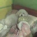 Turron