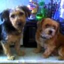 Rocky y kero