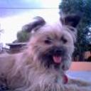Peggy