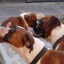 Ritón, dalila y bebé