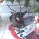Blacky