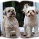 Luky y nina