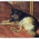 Yako
