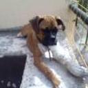 Cleopatr