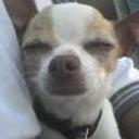 Chikita