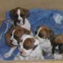 Hijos de dalila y ritón