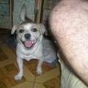 Jerry
