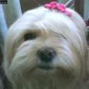 Doly