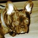 Zayra